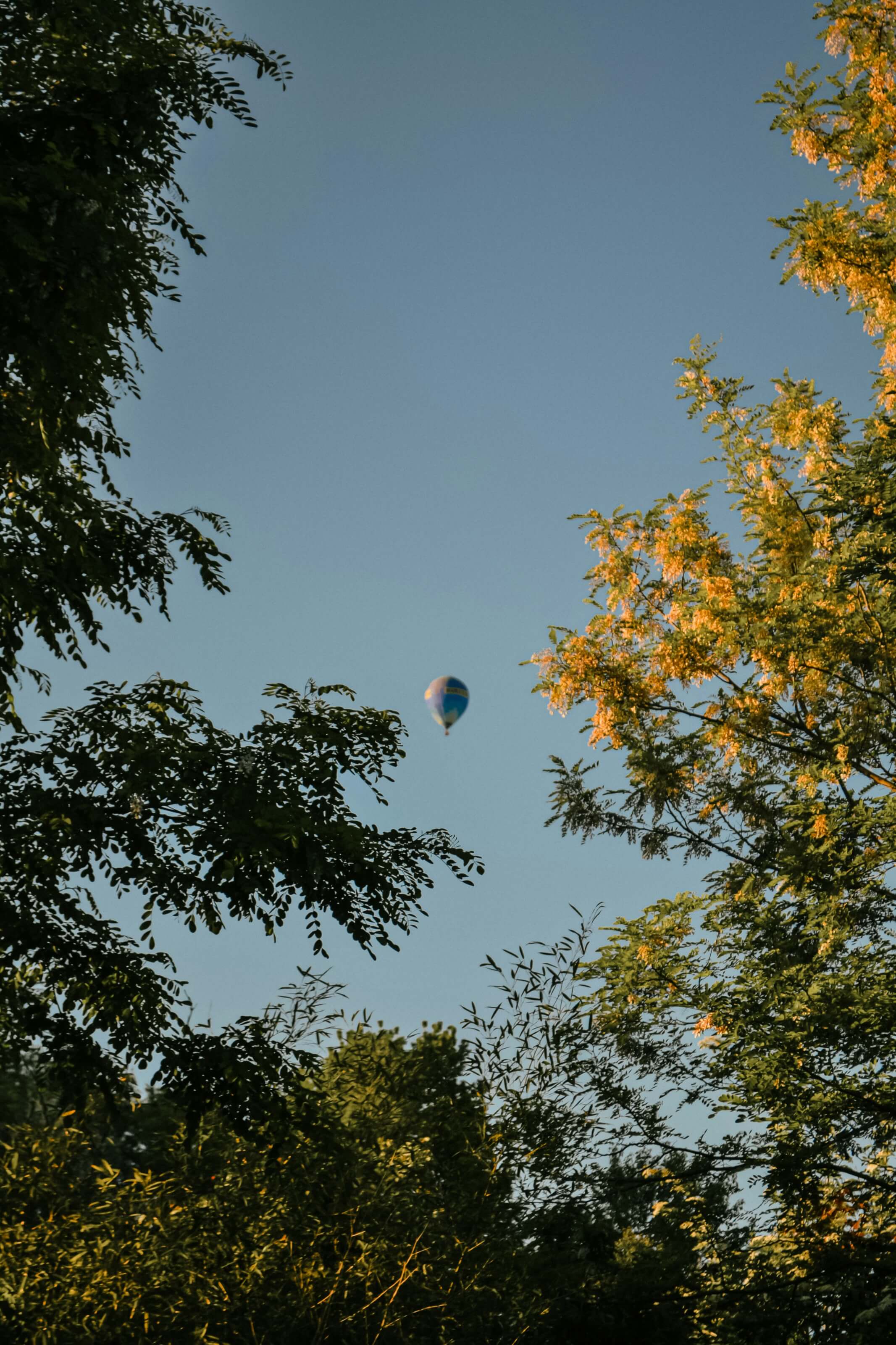 Hamilton, Canada.