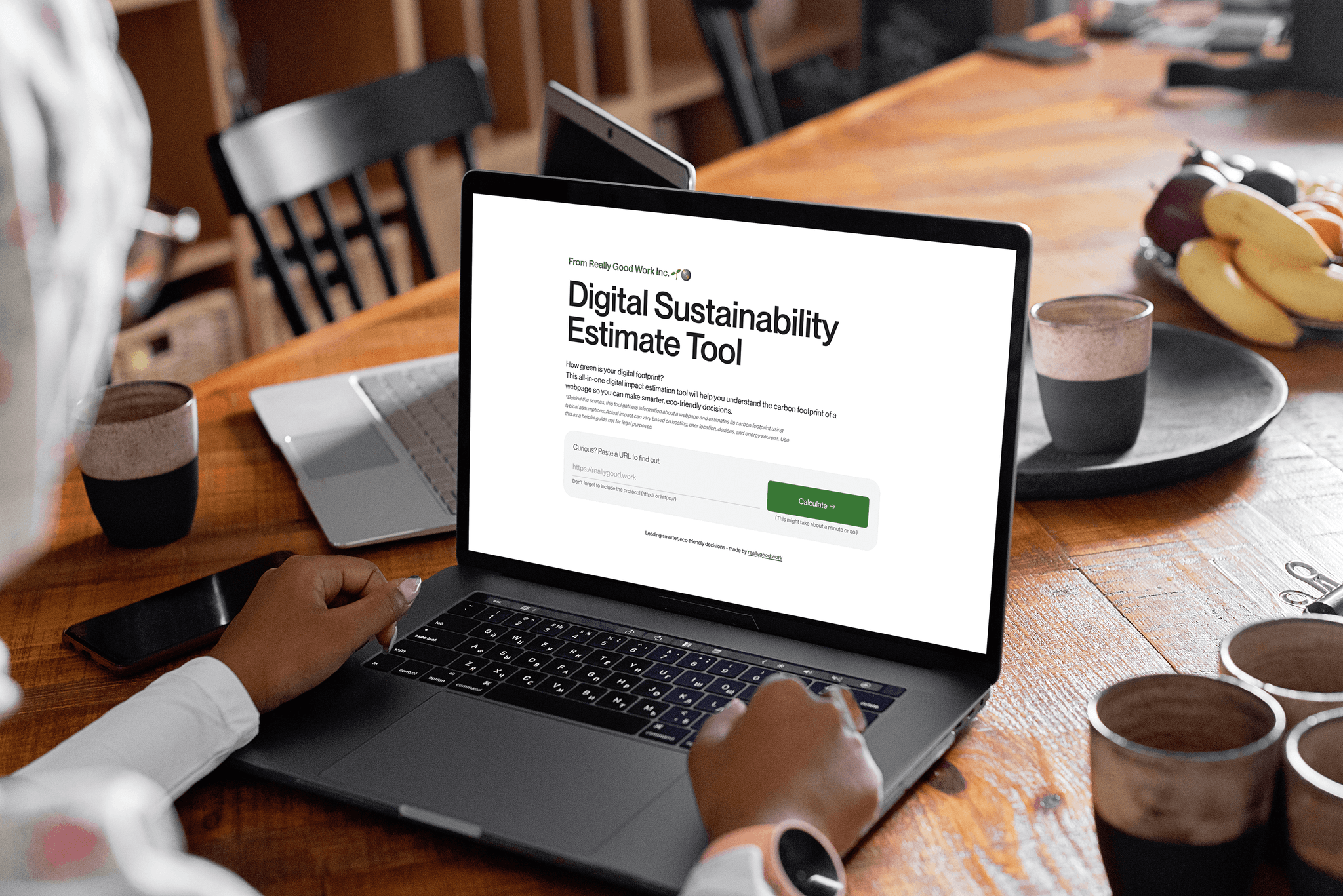 A person viewing the homepage of the Really Good Work Digital Sustainability Tool