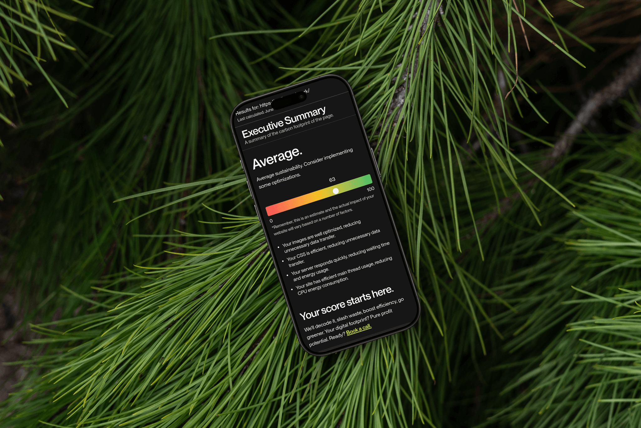 Home screen of Digital Sustainability Estimate Tool